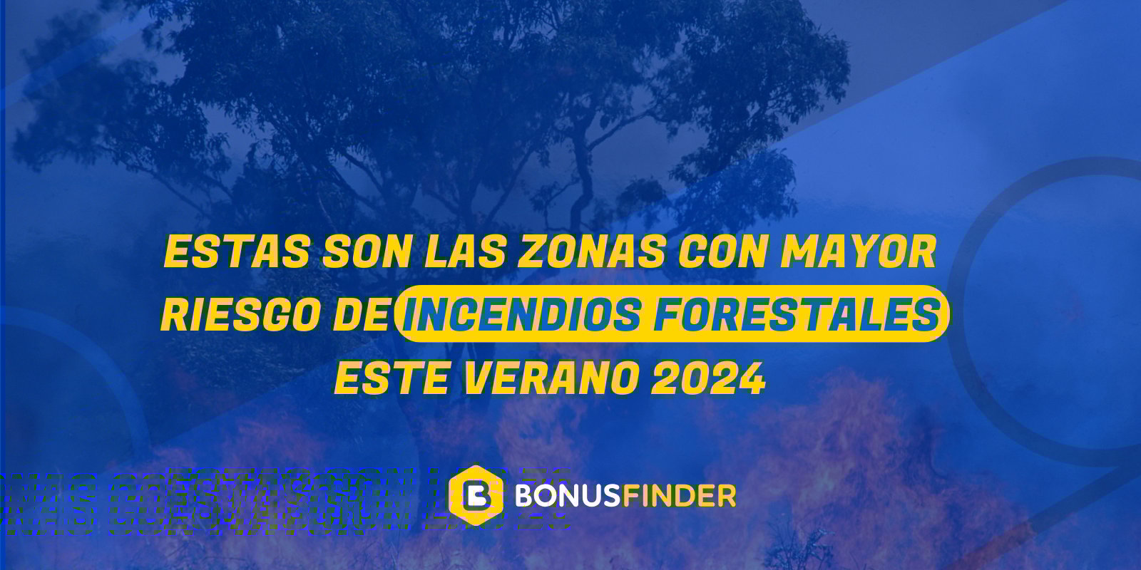 portada de artículo sobre incendios forestales en 2024